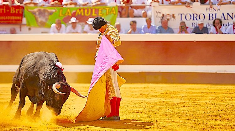 OLÉ ! - Temporada de Dax, des toros, des stars et des jeunes talents